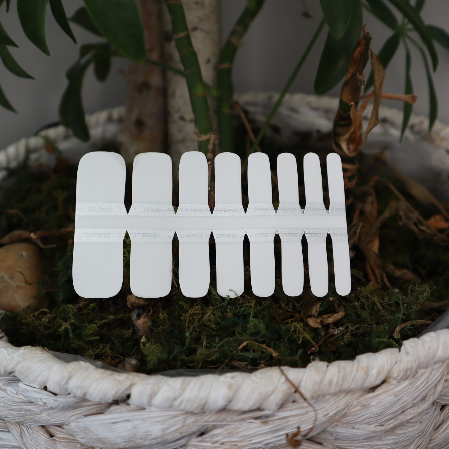 Black Toe Nails/Kids Nail Wraps White Solid Color