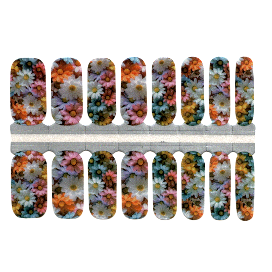 White Smoke Pastel Colorful Flowers Daisies