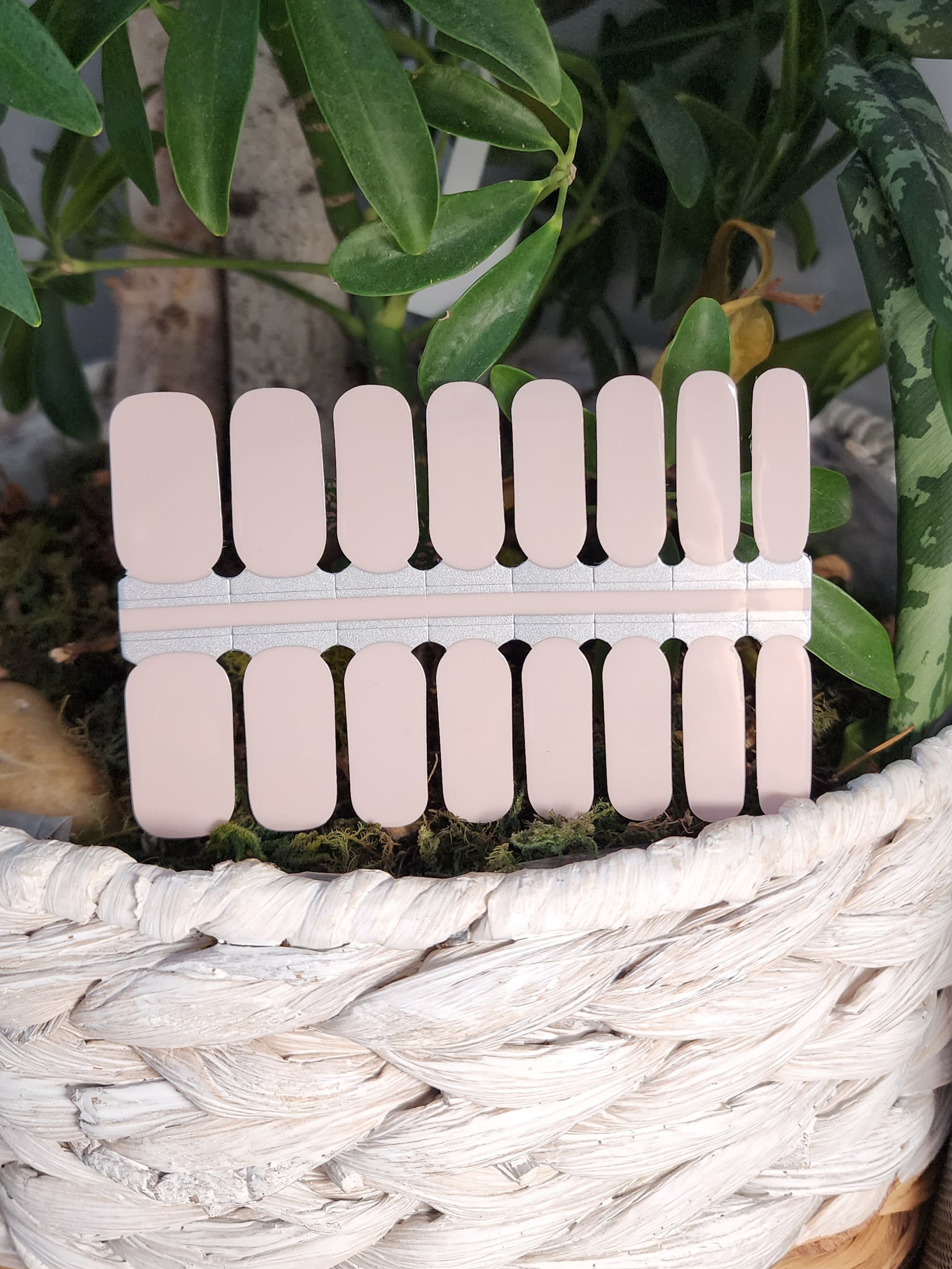 Light Gray Nude Sheer Beige Color