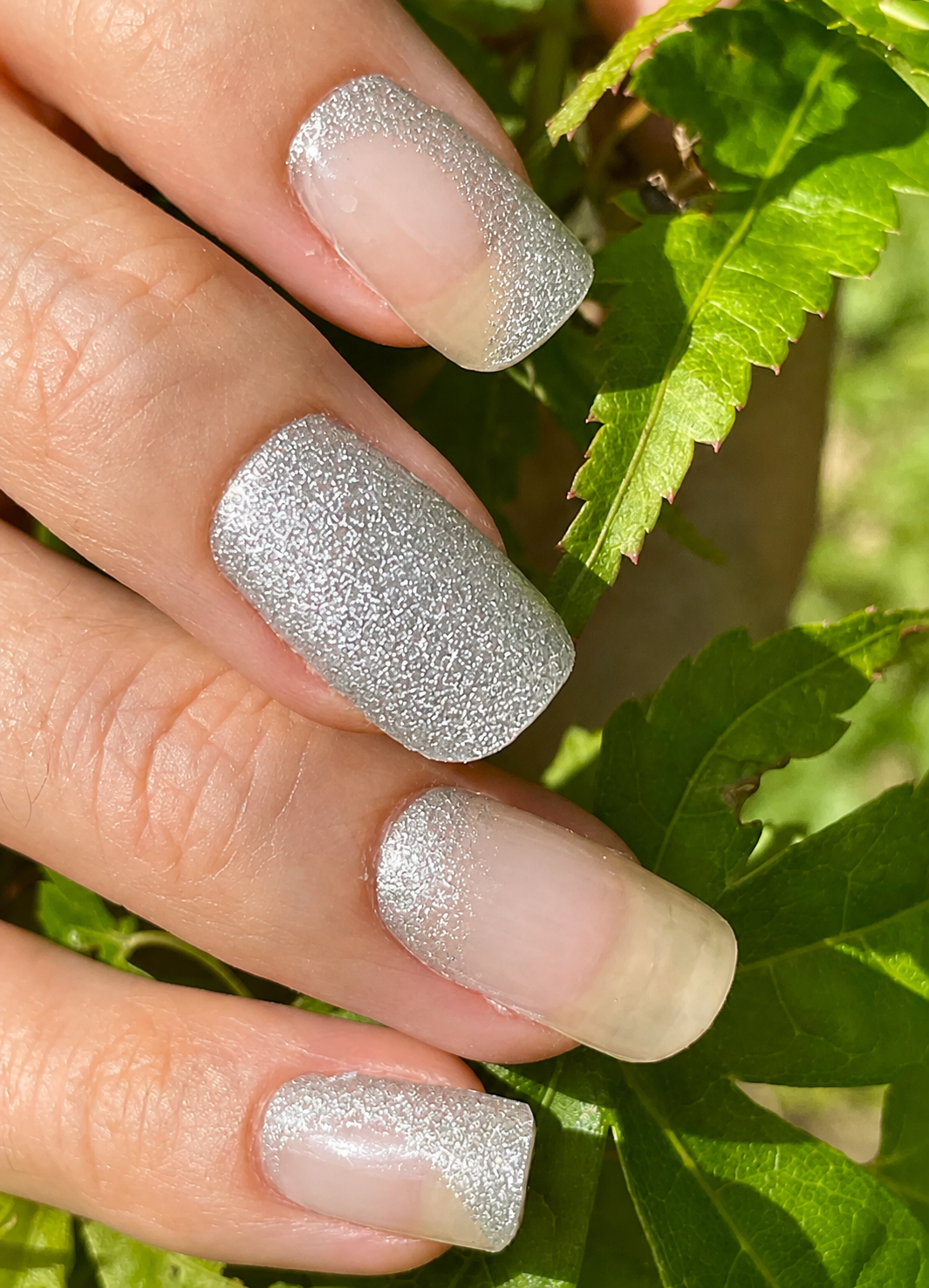 Silver Whisper