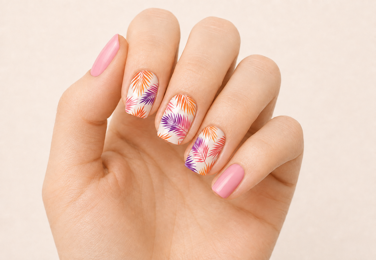 Feuilles de bébé rose orange et violet avec fond blanc