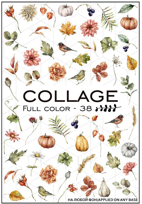 White Smoke Fall Flowers Pumpkins Birds