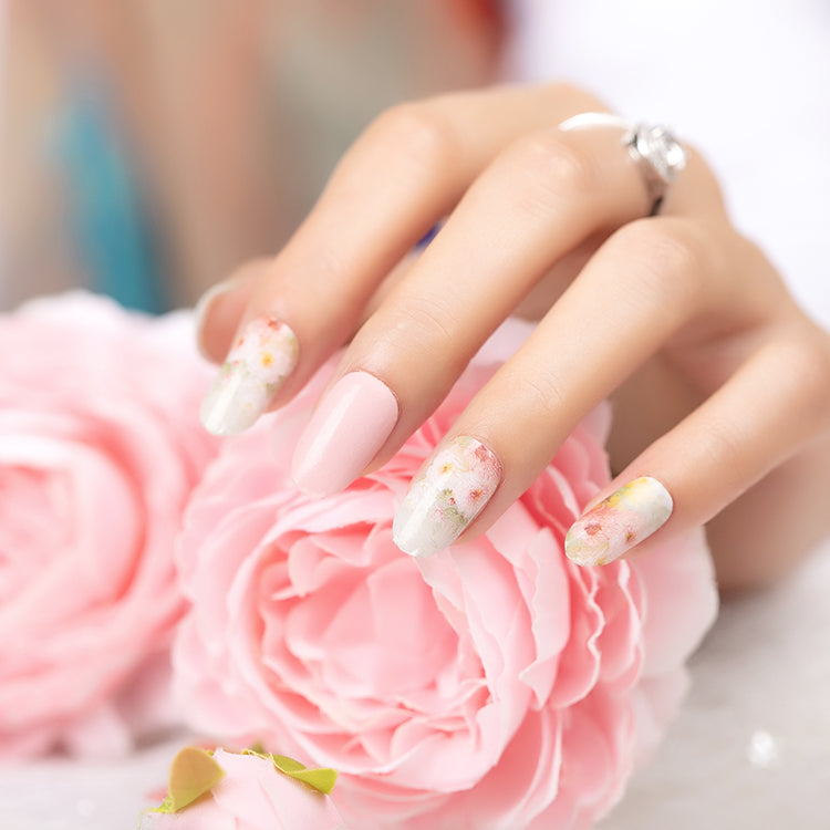 Misty Rose Pastel Promenade