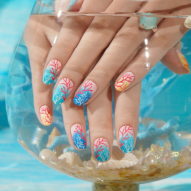 Coral Reef
