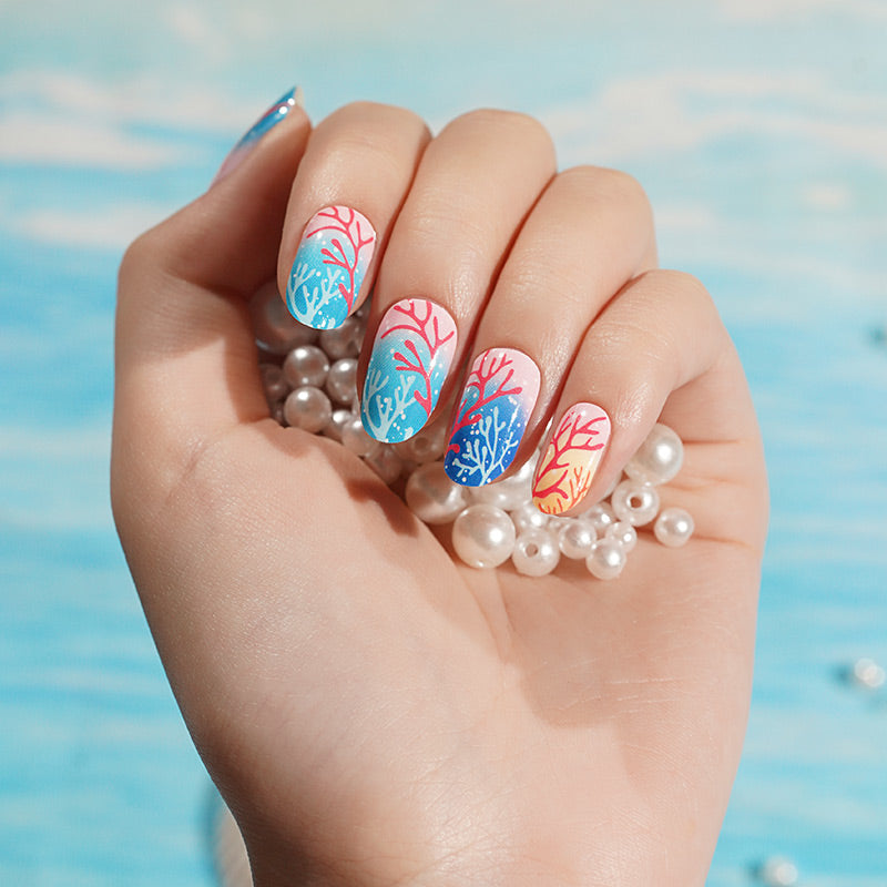 Coral Reef