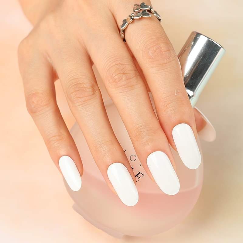 Bisque White Solid Color