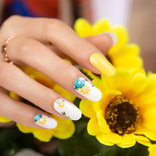 Tan Yellow and Teal Aqua Green Flowers Daisies with White Background