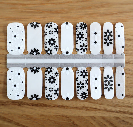 Dark Khaki White and Black Daisy Flowers Clear Overlay Negative Space