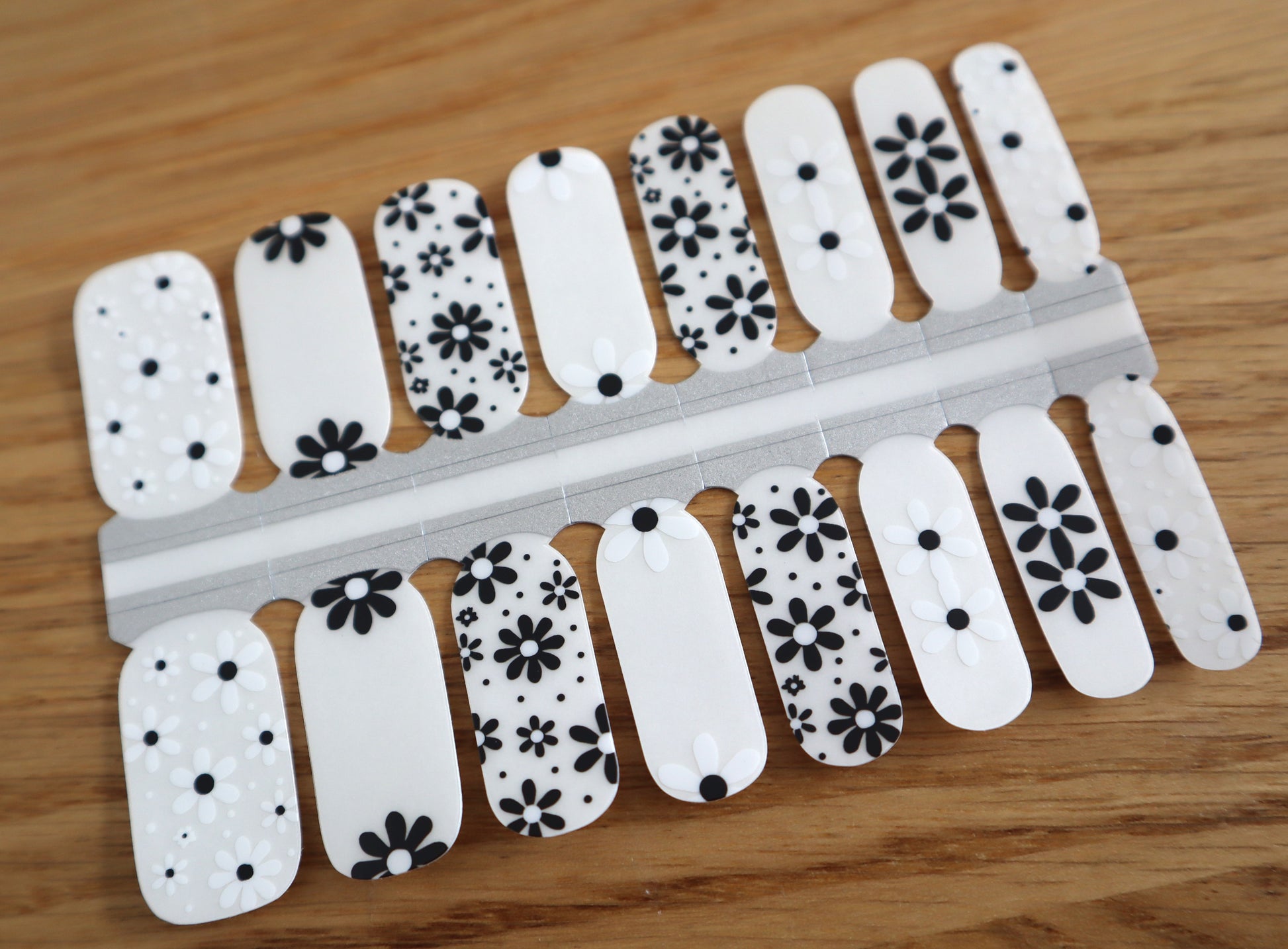Light Gray White and Black Daisy Flowers Clear Overlay Negative Space