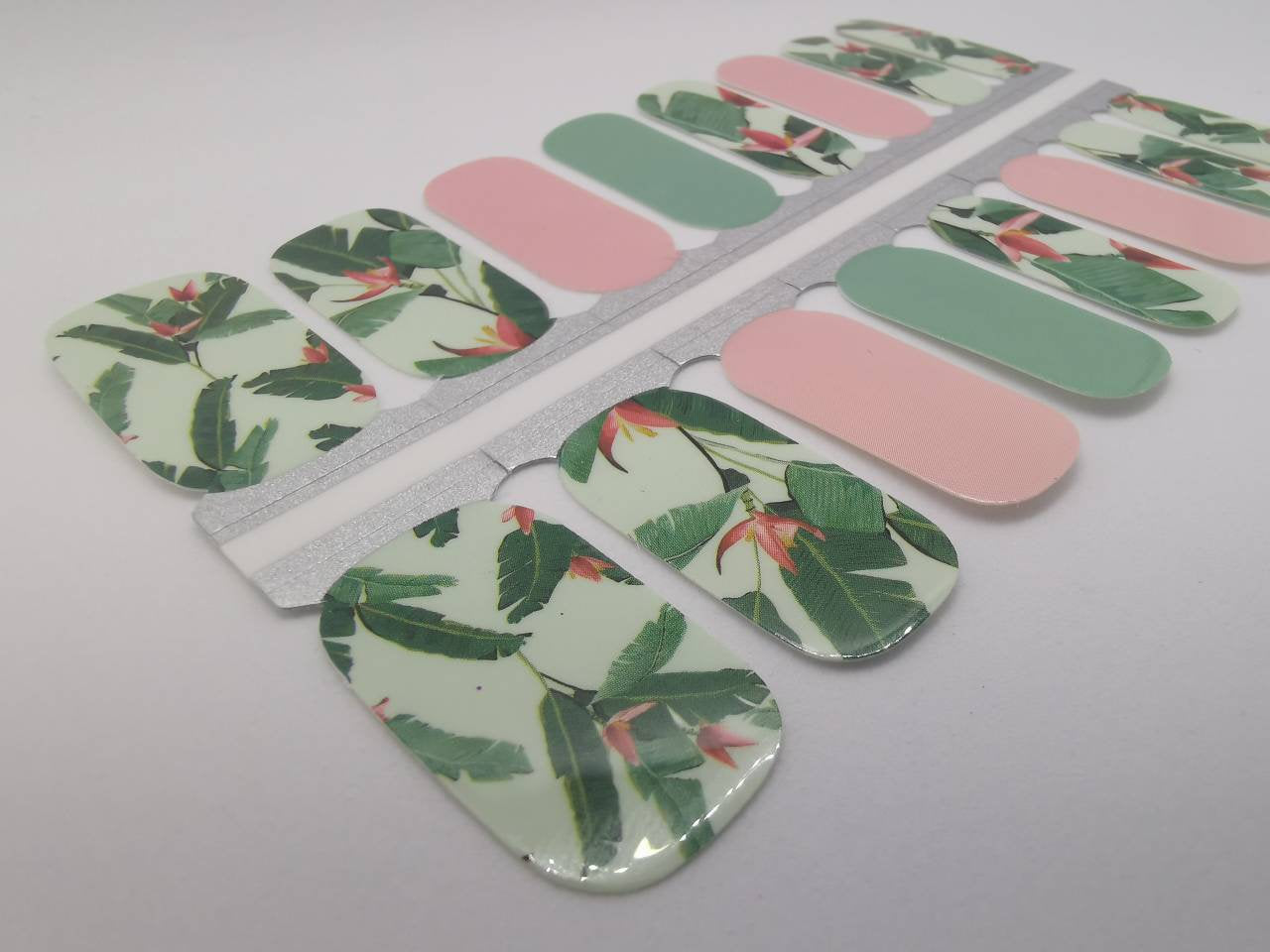 Dark Gray Green and Pink Hibiscus Tropical Flowers with Leaves