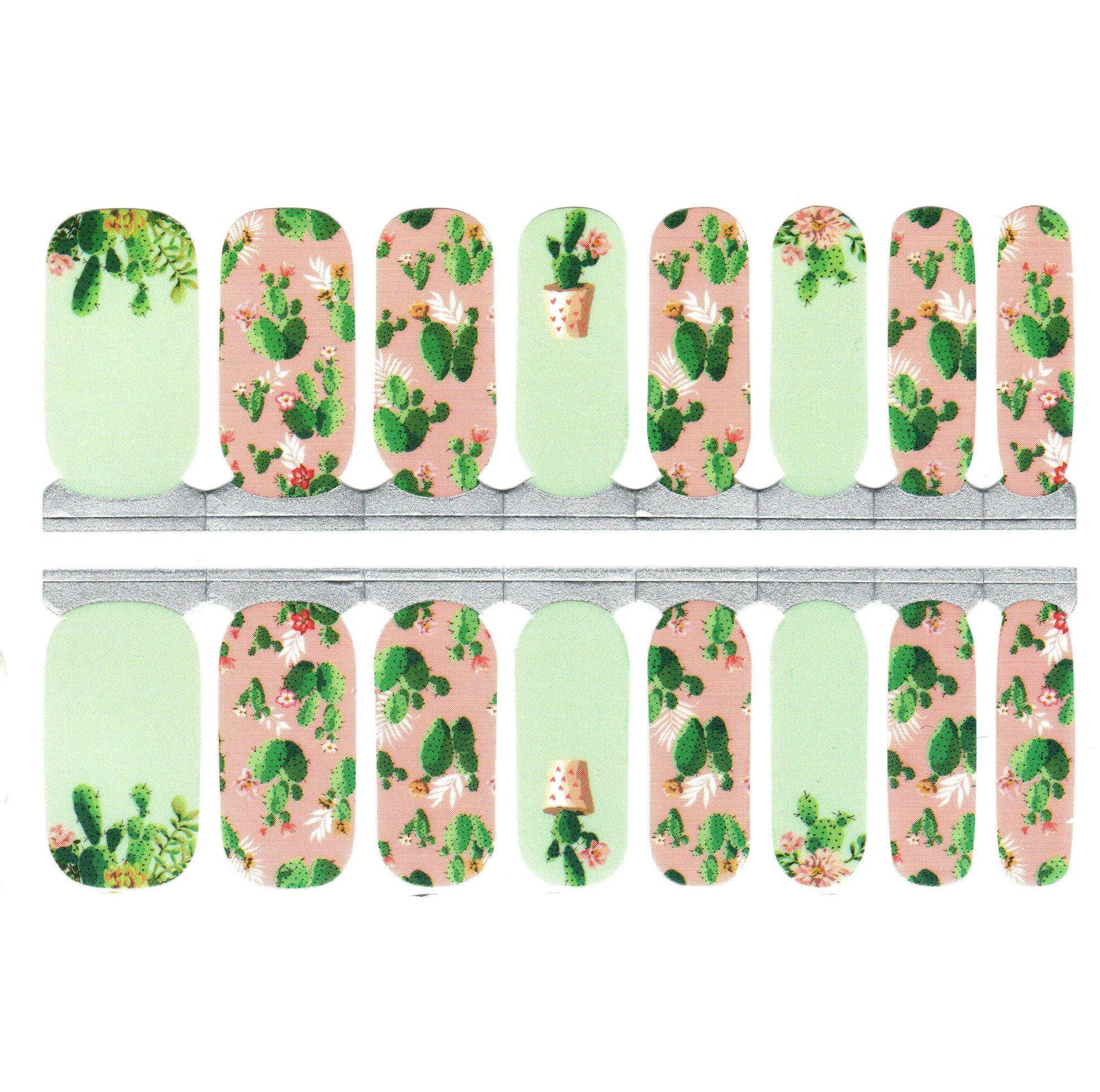 White Smoke Pink and Green Cacti Cactuses Succulents
