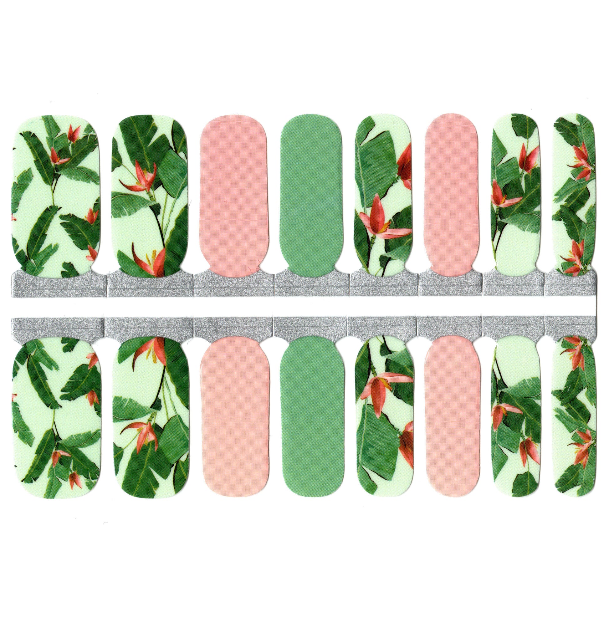 White Smoke Green and Pink Hibiscus Tropical Flowers with Leaves