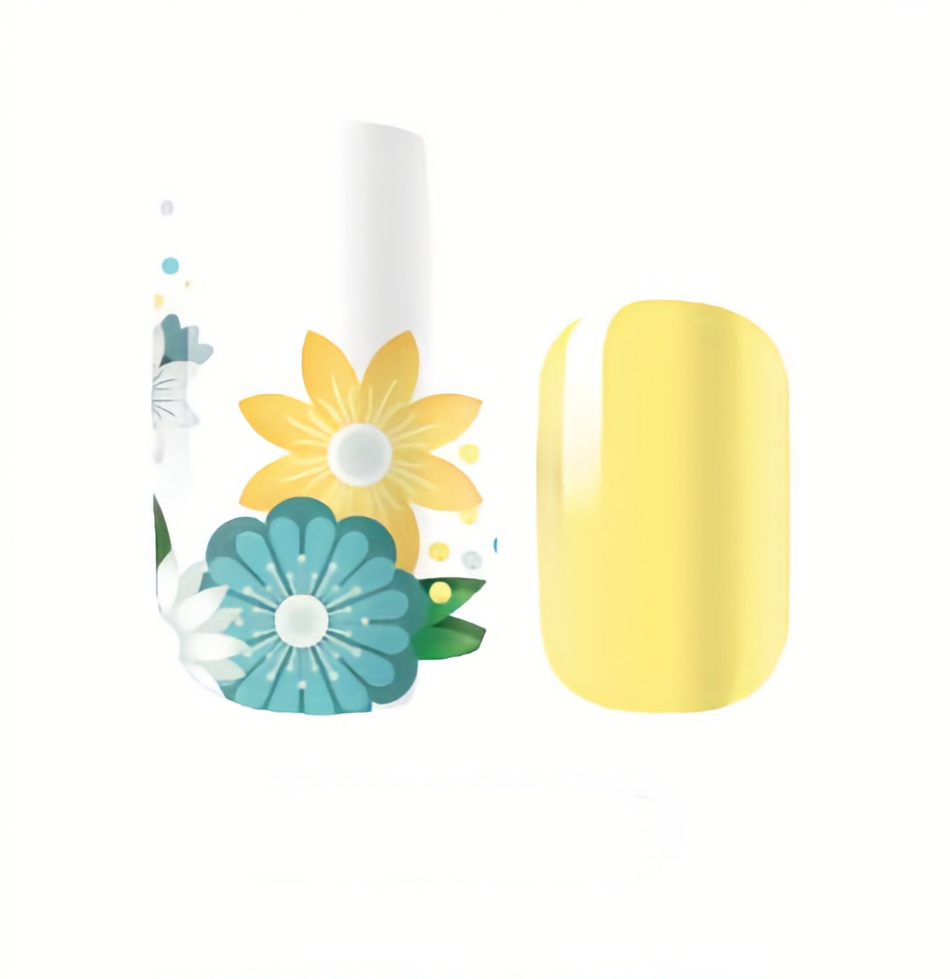 White Smoke Yellow and Teal Aqua Green Flowers Daisies with White Background